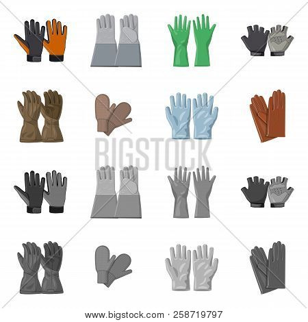 Vector Illustration Of Glove And Winter Symbol. Collection Of Glove And Equipment Stock Vector Illus