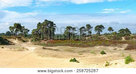 Panorama Of The Aekingerzand National Park In Appelscha, Friesland, The Netherlands