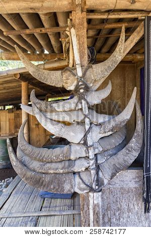 Water Buffalo Horns Kept From A Ritual Sacrifice Are Kept In Front Of Homes At The Luba Traditional 
