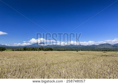 A Dry Rice Field With Stratovolcano Ebulobo In The Distance.