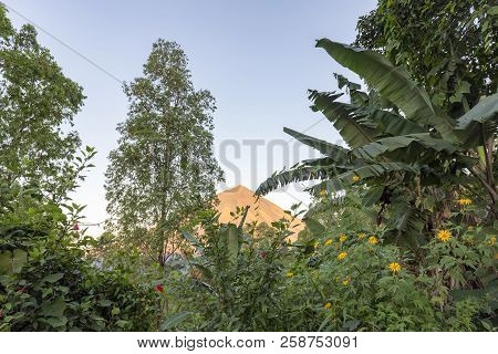 Tropical Vegetation In Front Of Mount Inerie In Flores, Indonesia.