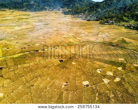 Aerial View Of The Spider Rice Fields At Harvest Time In Ruteng, Indonesia.