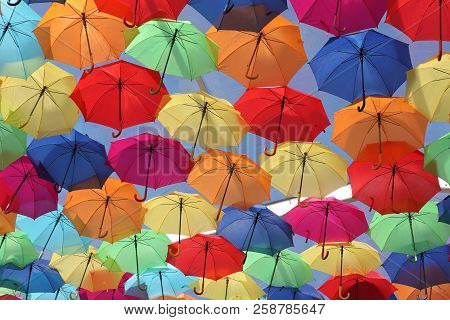 Umbrellas