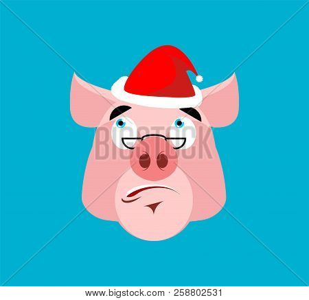 Santa Pig Surprised  Emoj. Christmas Amazementi Emotion Avatars. Farm Animal Amaze