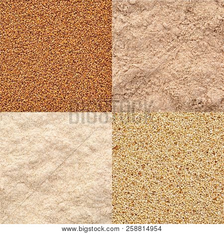 gluten free teff grain and flour, ivory and brown variety