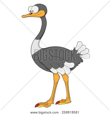 Funny Cartoon Gray Ostrich With Big Eyes