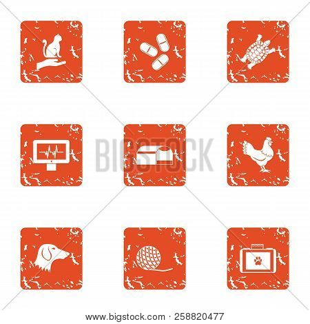 Animal Inspector Icons Set. Grunge Set Of 9 Animal Inspector Icons For Web Isolated On White Backgro