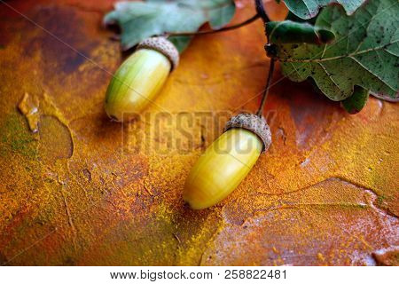 A Torn Oak Branch With Leaves And Acorns In September Lies On An Orange Beton Photophone