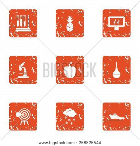 Lab Establishment Icons Set. Grunge Set Of 9 Lab Establishment Icons For Web Isolated On White Backg