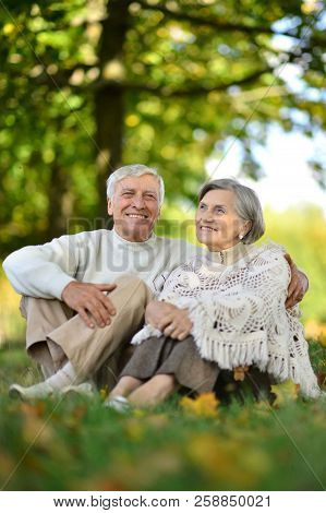 Portrait Of Elderly Couple In Summer Park