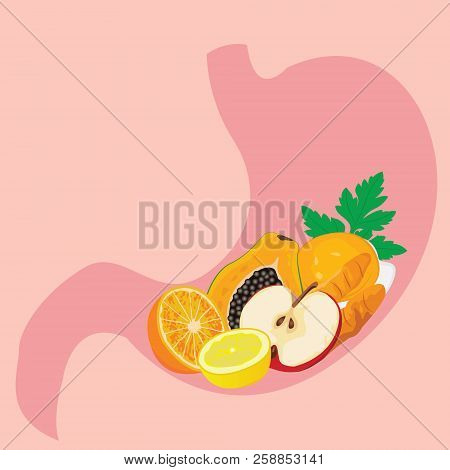Shape Of Stomach Full Of Healthy Meel.  Healthy  Digestion Concept. Dieting Meal