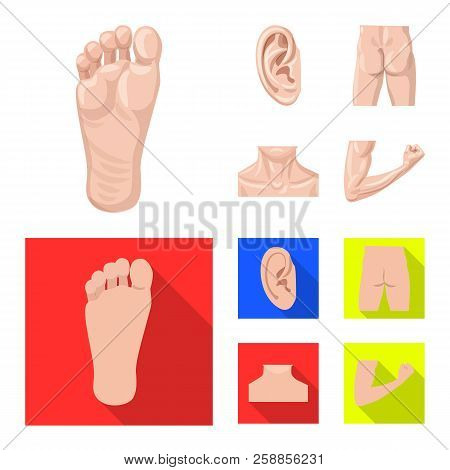 Vector Illustration Of Human And Part Icon. Collection Of Human And Woman Vector Icon For Stock.
