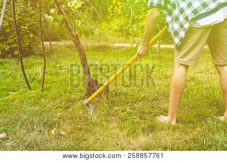 Man Working With Hoe In Garden Under Tree On Lawn