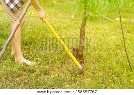 Man Working With Hoe In Garden Under Tree On Lawn