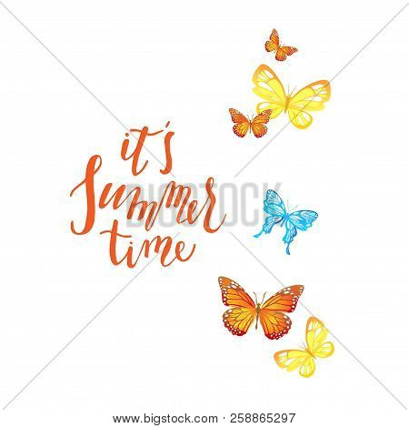 Beautiful Butterfly Isolated. Insect Icon. Summer Vector Illustration