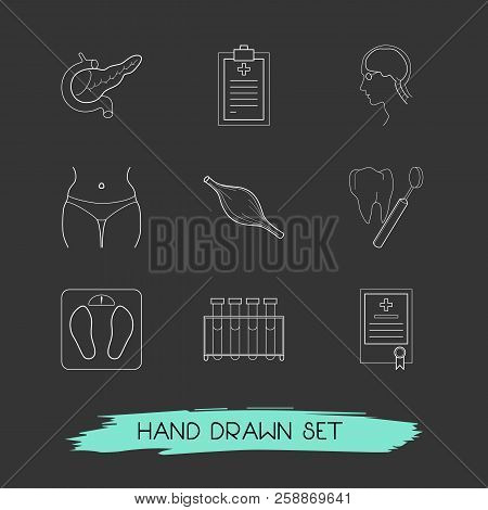 Set Of Medicine Icons Line Style Symbols With Navel, Neurology, Blood Test And Other Icons For Your 