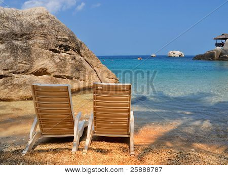 Lettini in acqua di mare