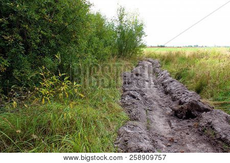 Plowed The Forest Edge From The Fire