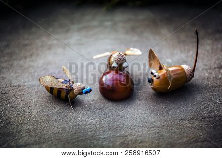 Handmade Mouse Bee Acorn Asphalt Chestnut Day Light