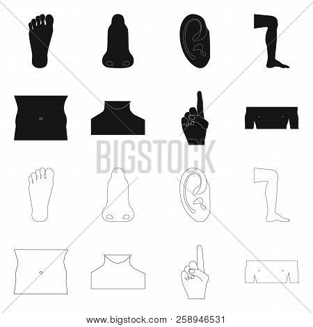 Vector Design Of Human And Part Symbol. Collection Of Human And Woman Stock Vector Illustration.