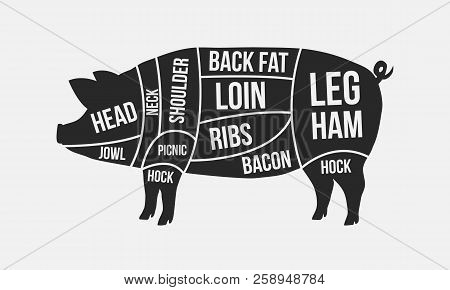Meat Cuts. Cuts Of Pork. Pig Silhouette Isolated On White Background. Vintage Poster For Butcher Sho