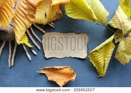 A Small Piece Of Yellowed Paper With Charred Black Edges Surrounded By Yellow Autumn Leaves, A Copy 