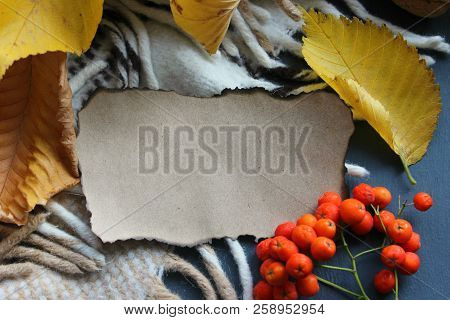 A Small Piece Of Yellowed Paper With Charred Black Edges Surrounded By Yellow Autumn Leaves, A Copy 
