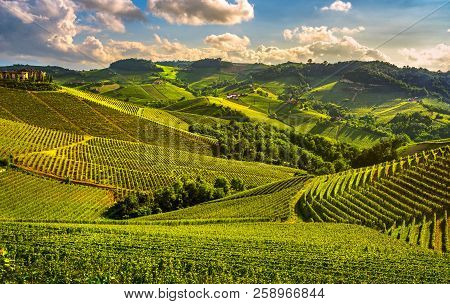 Langhe Vineyards Sunset Panorama, Serralunga D Alba, Unesco Site, Piedmont, Northern Italy Europe.