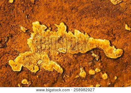West Thumb Geyser Basin Copper And Yellow, Yellostone National Park, Wyoming