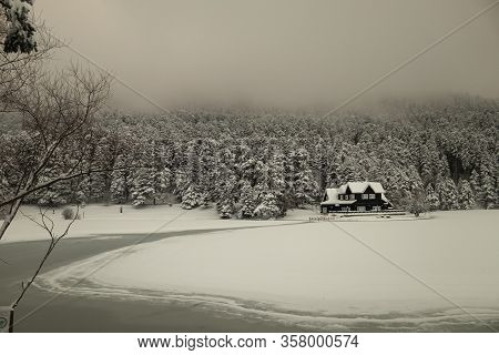 Bolu Golcuk National Park, Snowy Winter Day. Turkey
