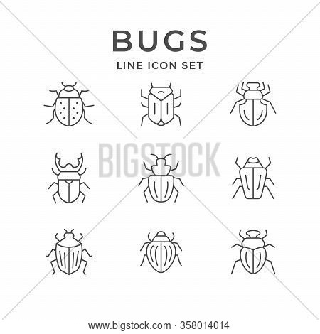 Set Line Icons Of Bugs Isolated On White. Colorado Beetle, Ladybug, Cockchafer, Computer Virus Symbo