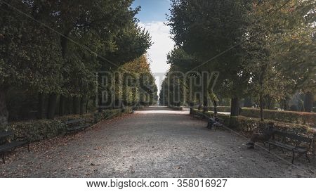 Empty Dusty Road With Trees In City Park