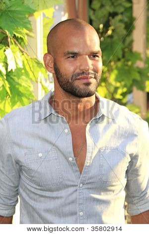 LOS ANGELES - AUG 6: Amaury Nolasco na premiéře filmu Walt Disney Pictures ' podivný život Timoth