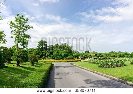 Topiary Garden Style, Asphalt Road In The Gardens With Geometric Shape Of Bush And Shrub, Decoration