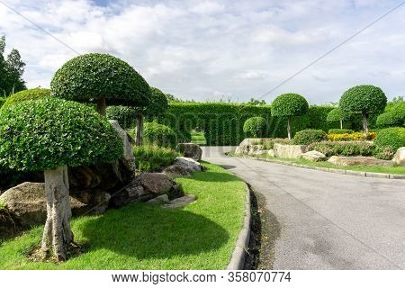Topiary Garden Style, Asphalt Road In The Gardens With Geometric Shape Of Bush And Shrub, Decoration