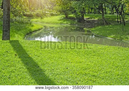 Fresh Green Carpet Grass Yard, Smooth Lawn In A Beautiful Garden And Good Care Landscaping, Beside A