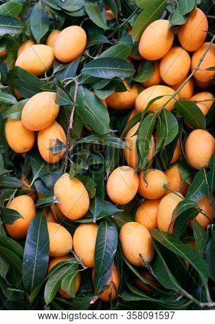 A Pile Of Orange Marian Plum And Dark Green Leaf Covering, In Other Name Are Plum Mango Or Gandaria