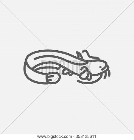 Sheatfish Icon Line Symbol. Isolated Illustration Of Icon Sign Concept For Your Web Site Mobile App 