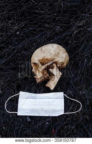 A Human Skull On A Black Background Of Burnt Grass With Red Capsules Of Medical Drugs. A Symbol Of H