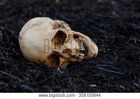 A Human Skull On A Black Background Of Burnt Grass With Red Capsules Of Medical Drugs. A Symbol Of H