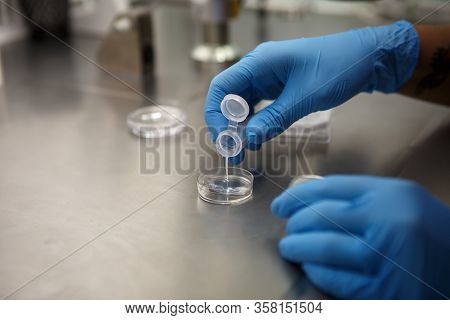 The Process Of Artificial Insemination In Ivf Clinic. Hands Doctor In Blue Rubber Gloves Produce Che