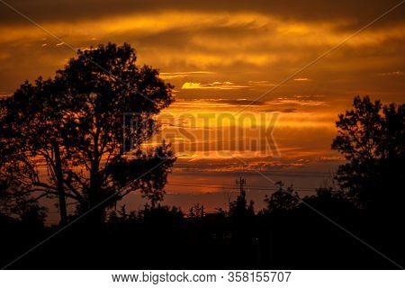 Black Silhouettes Of Trees Against A Beautiful Orange Sky With A Sunset. Evening Sky And Silhouettes