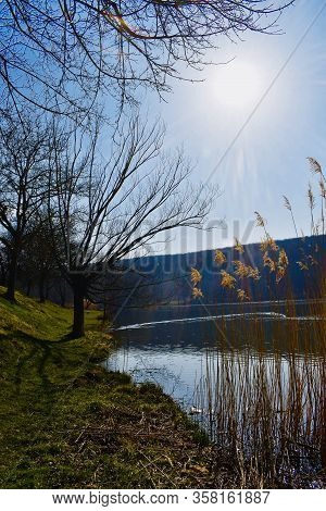 The Sun Shines Between The Trees And The Lake