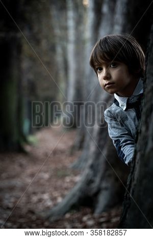 Little cute kid in Oak tree walkpath