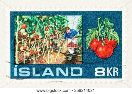 Seattle Washington - March 28, 2020: Close Up Of Used Iceland Stamp Featuring  Tomato Hothouse Garde
