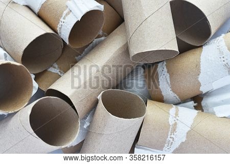 A Close Up Image Of Several Empty Toilet Tissue Rolls.