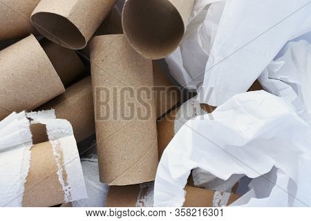 A Close Up Image Of Several Empty Toilet Tissue Rolls.