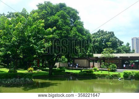 Manila, Ph - July 6: Lake At Japanese Garden Inside Rizal Park On July 6, 2016 In Manila, Philippine