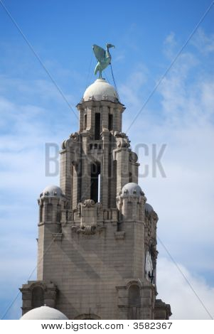 Liver Building Albert Dock, Liverpool, İngiltere'de