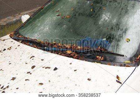Autumn Yellow Leaves On The Hood And Windshield Of The Car.